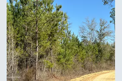 Tract#6317 S Harris Stevenson Road, Bonifay, FL 32425 - Photo 10
