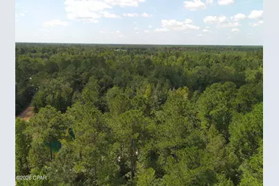0 River Road, Sneads, FL 32460 - Photo 12