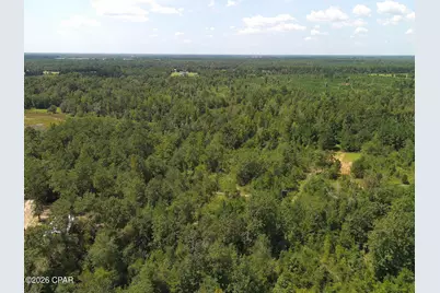 0 River Road, Sneads, FL 32460 - Photo 4