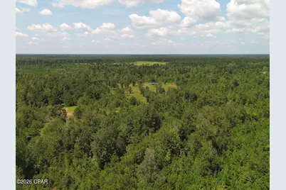 0 River Road, Sneads, FL 32460 - Photo 8