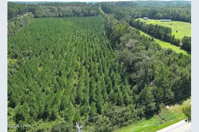 Tbd Pioneer Road, Chipley, FL 32428 - Photo 4