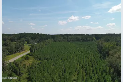 Tbd Pioneer Road, Chipley, FL 32428 - Photo 8