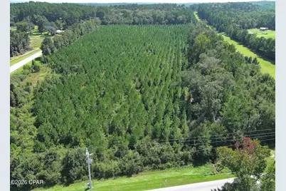 Tbd Pioneer Road, Chipley, FL 32428 - Photo 2