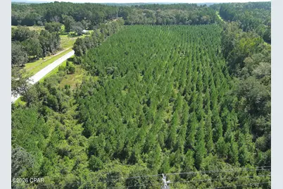 Tbd Pioneer Road, Chipley, FL 32428 - Photo 6
