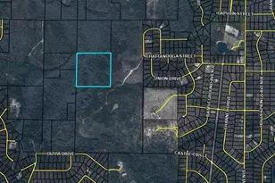 Tbd Olivia Dr, Marianna, FL 32448 - Photo 1