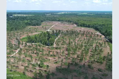 Tbd Gloster Avenue, Sneads, FL 32460 - Photo 1