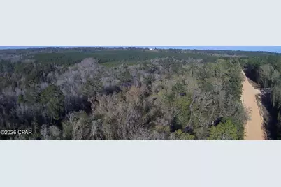 Tbd Olivia Drive, Marianna, FL 32448 - Photo 4