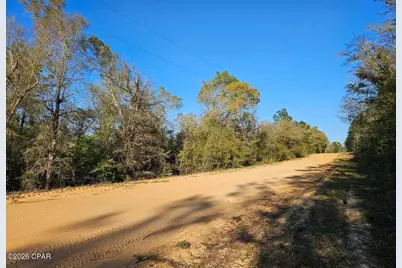 Tbd Olivia Drive, Marianna, FL 32448 - Photo 2