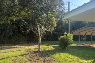 4146 Bryan St, Greenwood, FL 32443 - Photo 14