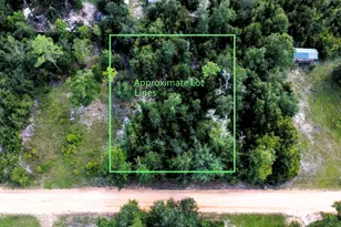 Tbd Camellia St, Fountain, FL 32438 - Photo 1