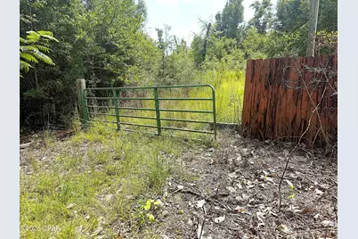 6608 Highway 20, Youngstown, FL 32466 - Photo 2