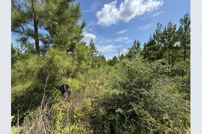 Xxx SE Davis Peacock Road #Lot 51, Blountstown, FL 32424 - Photo 2