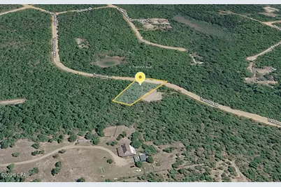 0 Trenton Avenue, Alford, FL 32420 - Photo 2