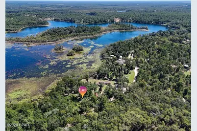 3126 Magnolia Drive, Chipley, FL 32428 - Photo 4