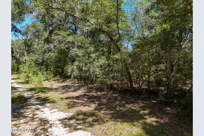 3126 Magnolia Drive, Chipley, FL 32428 - Photo 10