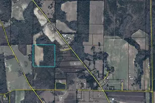Tbd Peanut Rd, Cottondale, FL 32431 - Photo 1