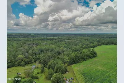 Tbd Peanut Rd, Cottondale, FL 32431 - Photo 6