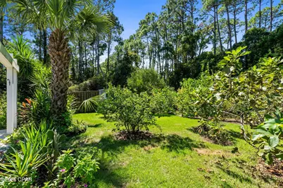 129 Betty Drive, Port Saint Joe, FL 32456 - Photo 38