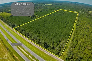 Tbd Hudson Rd, Alford, FL 32420 - Photo 1
