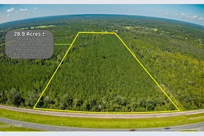 Tbd Hudson Road, Alford, FL 32420 - Photo 4
