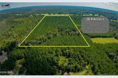 Tbd Hudson Road, Alford, FL 32420 - Photo 2