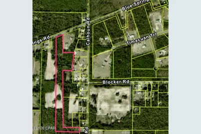 0 Blue Springs Road, Greenwood, FL 32443 - Photo 2