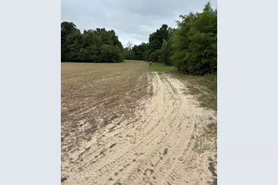 0 Blue Springs Road, Greenwood, FL 32443 - Photo 6