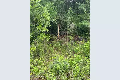 0 Blue Springs Road, Greenwood, FL 32443 - Photo 12