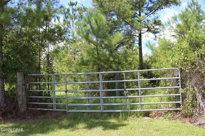11674 NW Ranch Gate Drive, Clarksville, FL 32430 - Photo 42