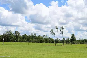 11674 NW Ranch Gate Dr, Clarksville, FL 32430 - Photo 44