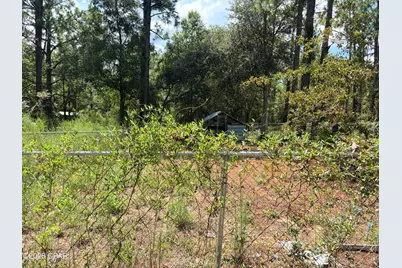 3989 Dunford Circle, Chipley, FL 32428 - Photo 8