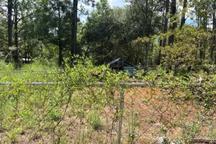 3989 Dunford Cir, Chipley, FL 32428 - Photo 8