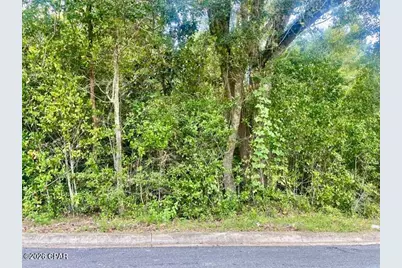 0 Barnes Street, Marianna, FL 32448 - Photo 1
