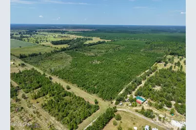 00 Beechum Lane, Marianna, FL 32448 - Photo 8