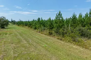 00 Beechum Ln, Marianna, FL 32448 - Photo 1