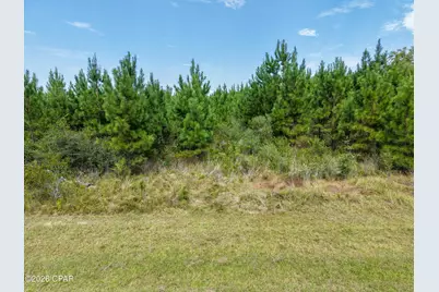 00 Beechum Lane, Marianna, FL 32448 - Photo 6
