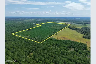 00 Beechum Lane, Marianna, FL 32448 - Photo 10