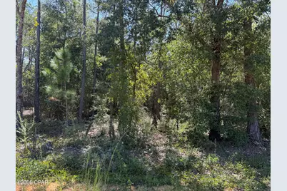 0 Abraham Street, Alford, FL 32420 - Photo 1