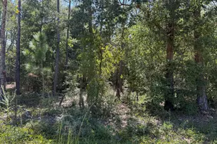 0 Abraham St, Alford, FL 32420 - Photo 1
