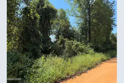 0 Anderson Drive, Alford, FL 32420 - Photo 2