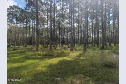 7711 Magnolia Pond Trail, Panama City Beach, FL 32413 - Photo 6