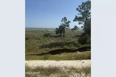 198 Egret Landing Court, Port Saint Joe, FL 32456 - Photo 6