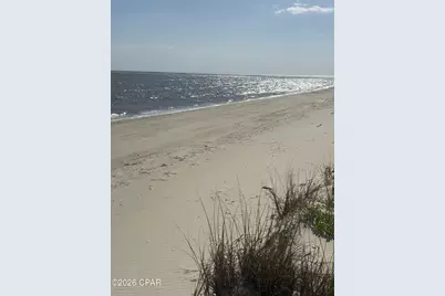 198 Egret Landing Court, Port Saint Joe, FL 32456 - Photo 10