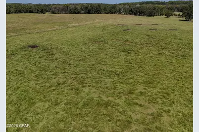 1409 Highway 177A, Bonifay, FL 32425 - Photo 66