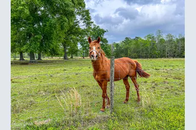 1409 Highway 177A, Bonifay, FL 32425 - Photo 78