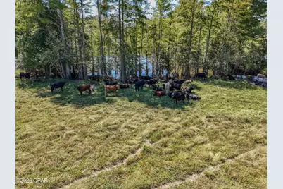 1409 Highway 177A, Bonifay, FL 32425 - Photo 72