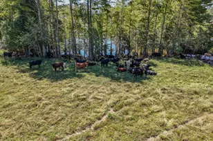1409 Hwy 177A, Bonifay, FL 32425 - Photo 72