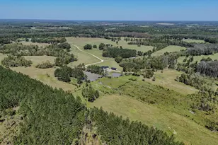 1409 Hwy 177A, Bonifay, FL 32425 - Photo 56
