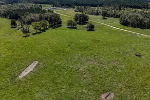 1409 Hwy 177A, Bonifay, FL 32425 - Photo 6