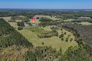 1409 Hwy 177A, Bonifay, FL 32425 - Photo 58